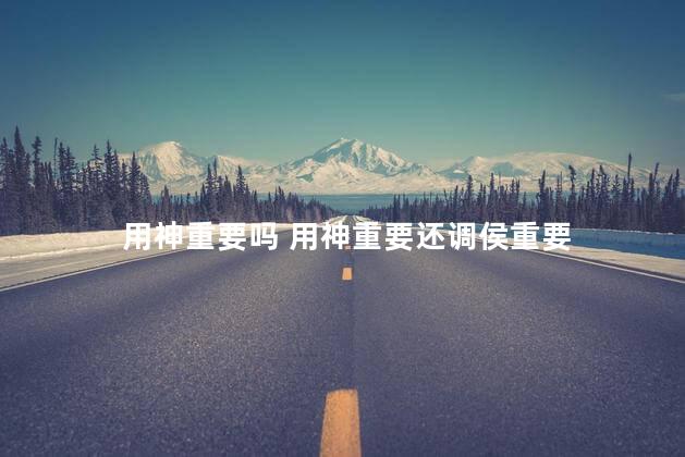 用神重要吗 用神重要还调侯重要